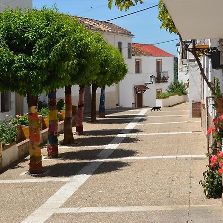 Jubrique Casa La Puente 빌라 외부 사진