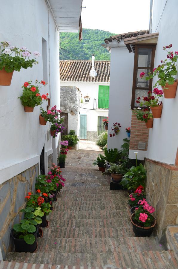 Jubrique Casa La Puente 빌라 외부 사진