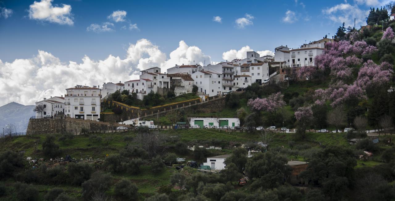 Jubrique Casa La Puente 빌라 외부 사진